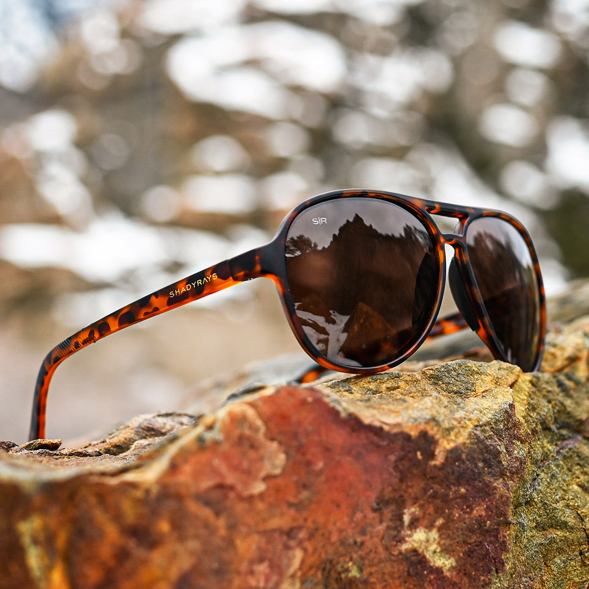 Aviator Crossover - Amber Tortoise Polarized