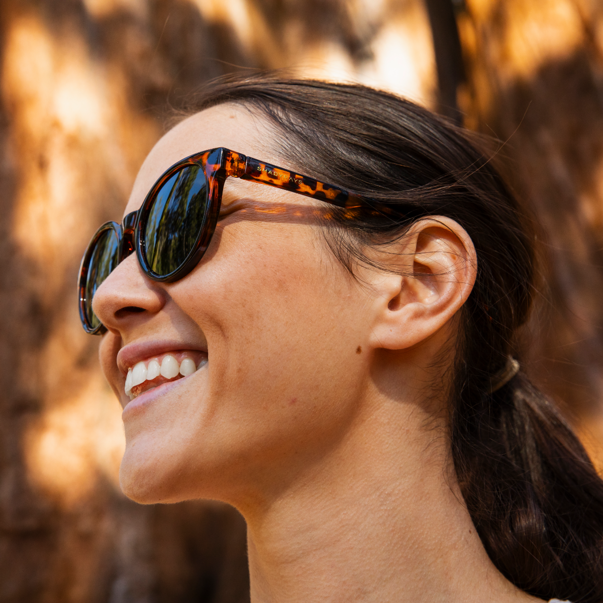 Sequoia - Tortoise Polarized