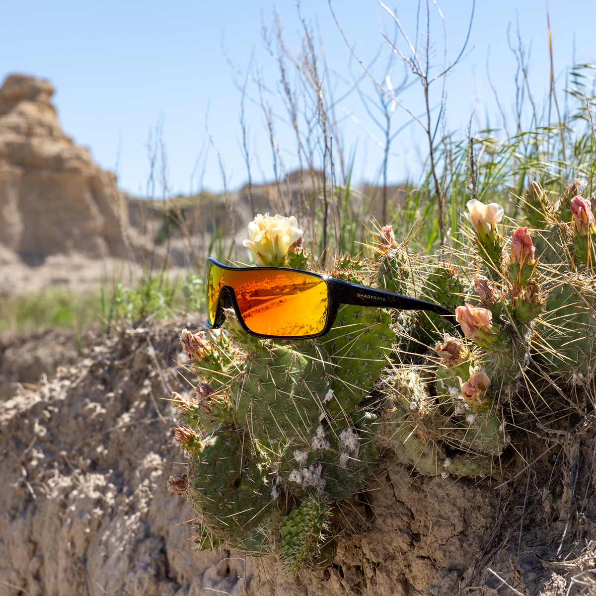 Badlands - Black Infrared Polarized
