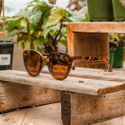 Calico - Amber Tortoise Polarized