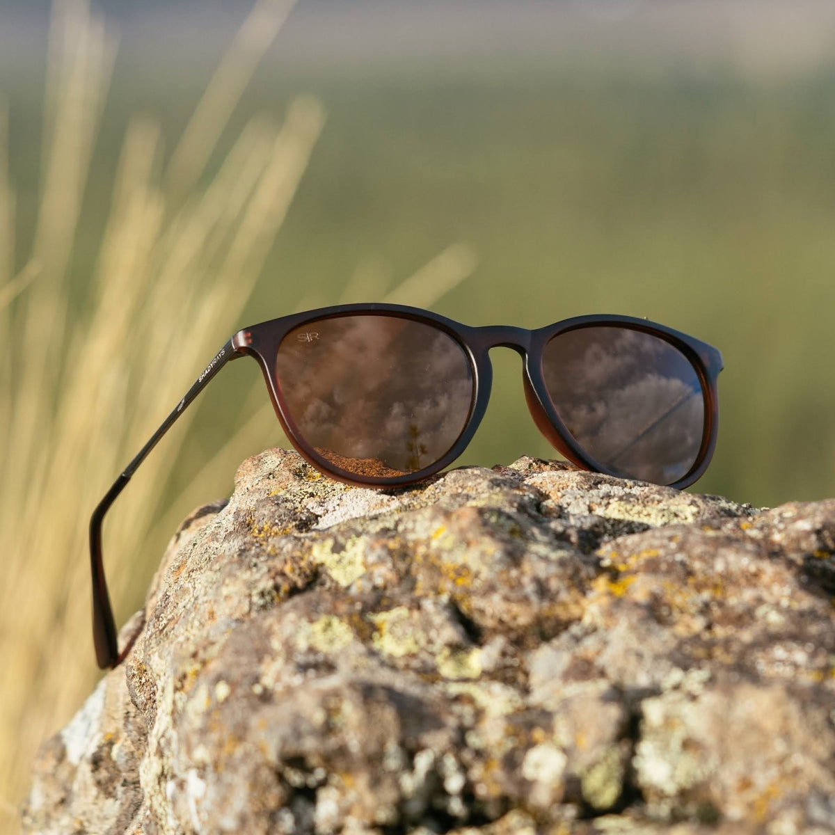 Allure - Mahogany Polarized