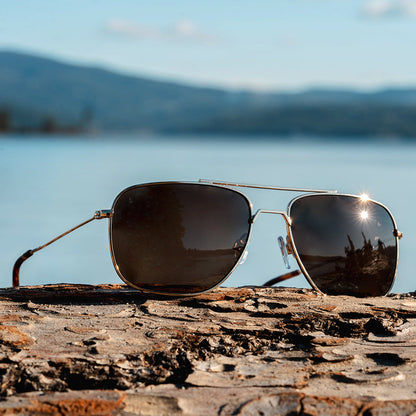 Navigator - Black Gold Polarized