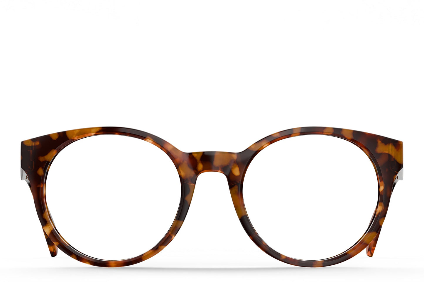 Sequoia Rx - Tortoise