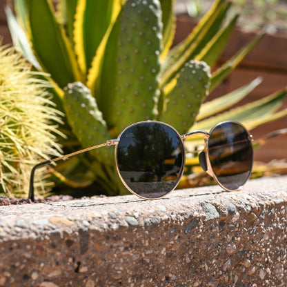 Tangle Free Aston - Black Gold Polarized