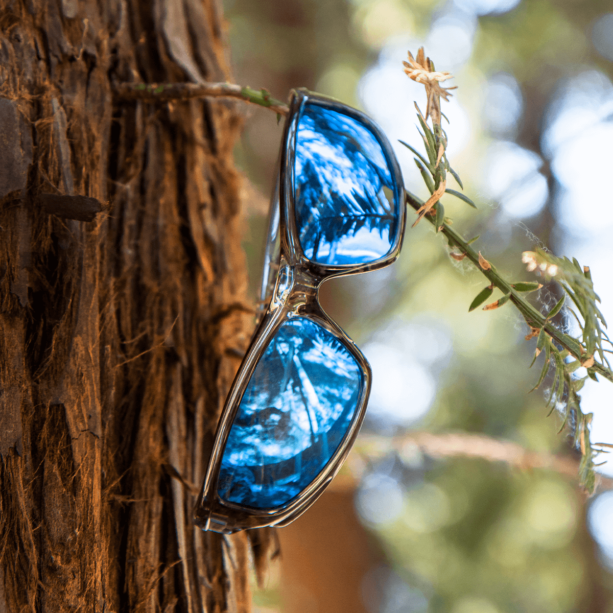 X Series - Glacier Smoke Polarized