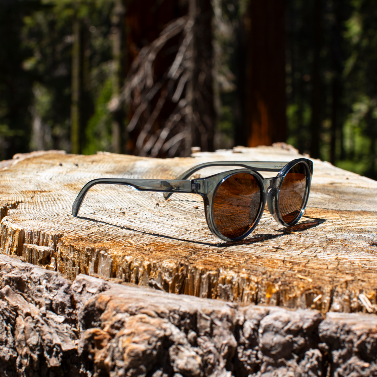 Sequoia - Dusk Polarized
