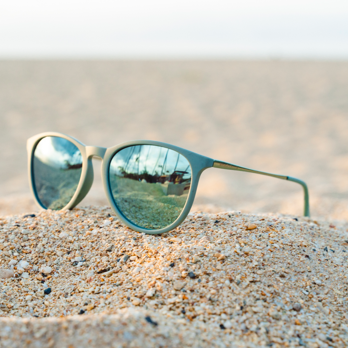 Allure - Agave Polarized