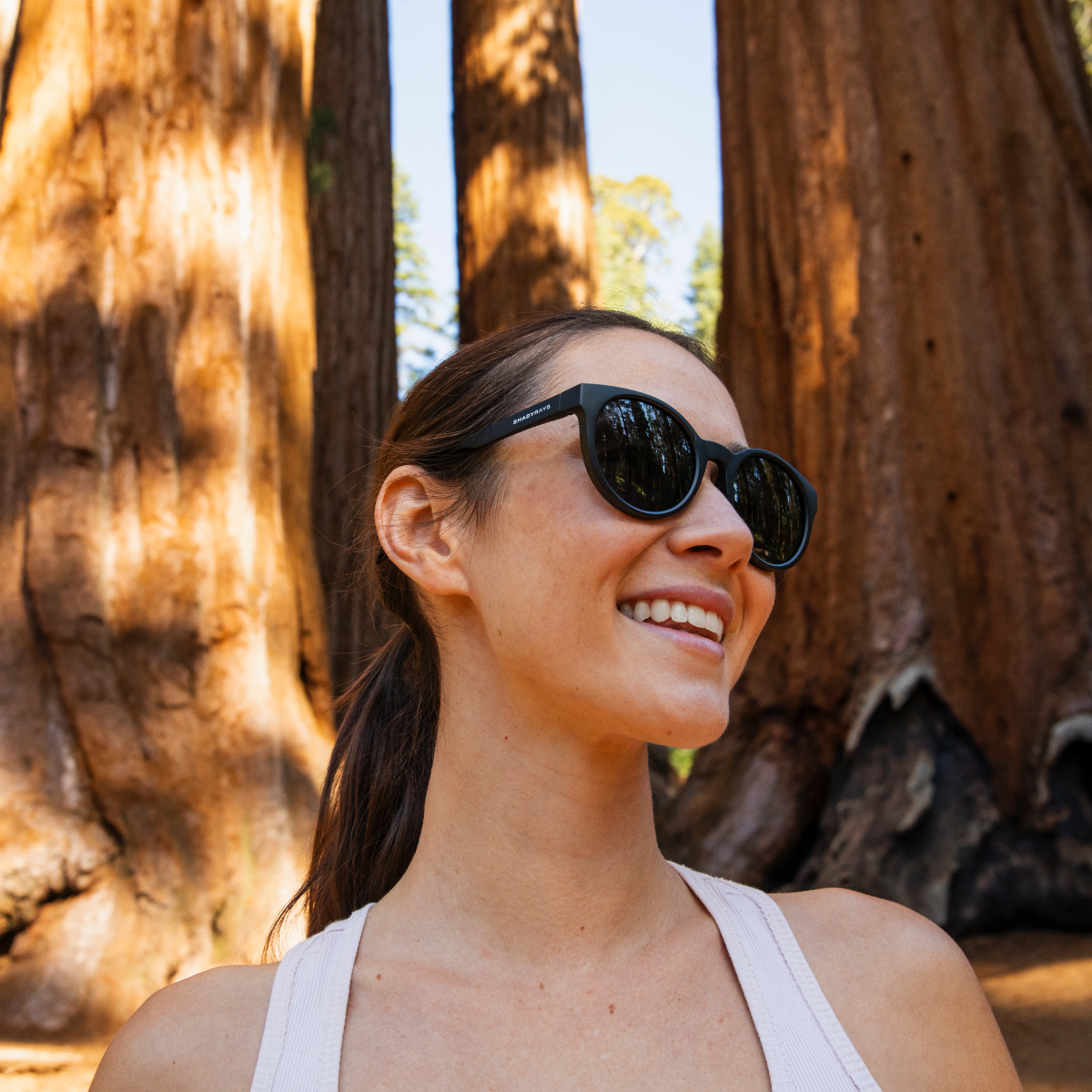 Sequoia - Blackout Polarized