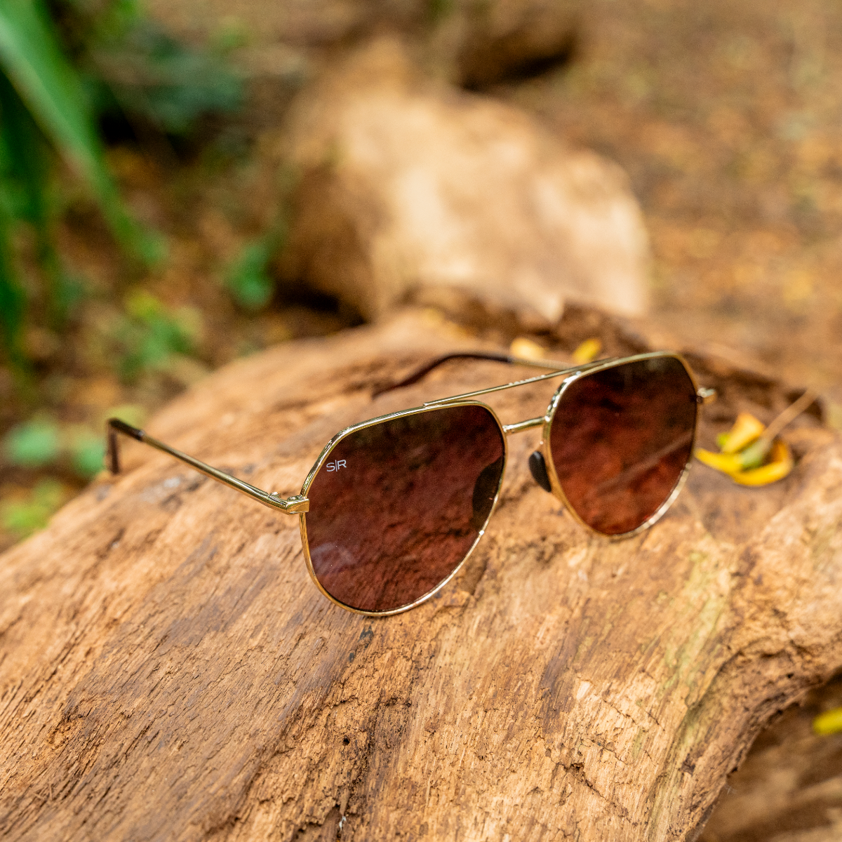 Tangle Free Aviator Hex - Cherry Fade Polarized